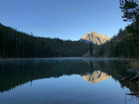 Photos Of Arnica Lake Trail Alberta Canada Alltrails