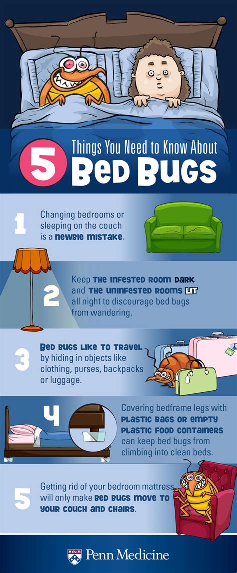 How To Avoid Bed Bug Bites While Sleeping Pest Phobia
