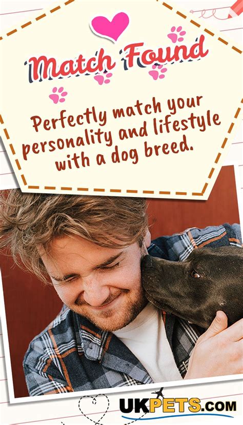 The Animal Whisperer Craigslist Pets Utica Helps You Find Your Perfect Pet Match