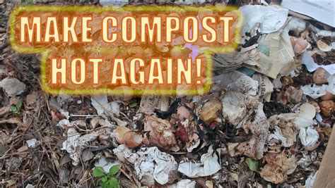 Four Tricks To Make Compost Hot Again The Survival Gardener