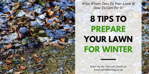 Preparing Your Lawn For Winter Effective Tips To Maintain A Healthy