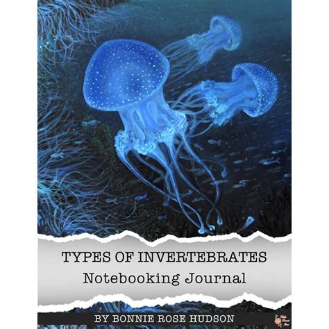 Types Of Invertebrates Notebooking Journal E Book Homeschool