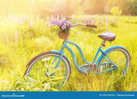 Vintage Bicycle With Basket Full Of Flowers Standing In The Field Stock