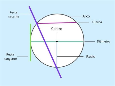 Diferencia Entre Círculo Y Circunferencia Diferenciador