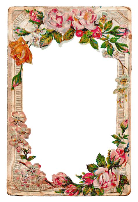 Download Full Resolution Of Vintage Floral Frame Png Picture Png Mart
