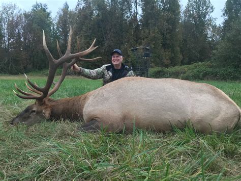 7 Day Roosevelt Elk Hunt In Western Washington For 1 Hunter 100
