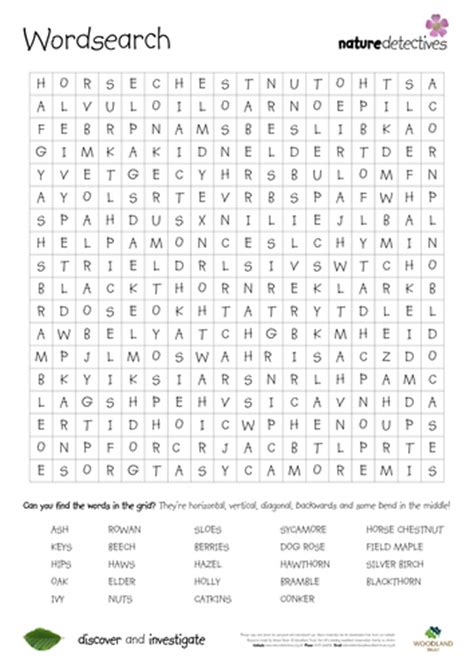 Sloes Wordsearches Teaching Resources