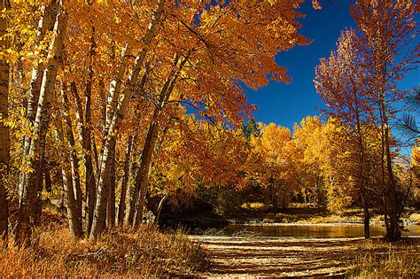 top places to find fall colors in western montana