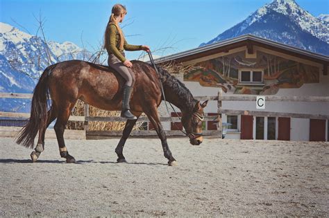 Your Ultimate Equestrian Training Guide