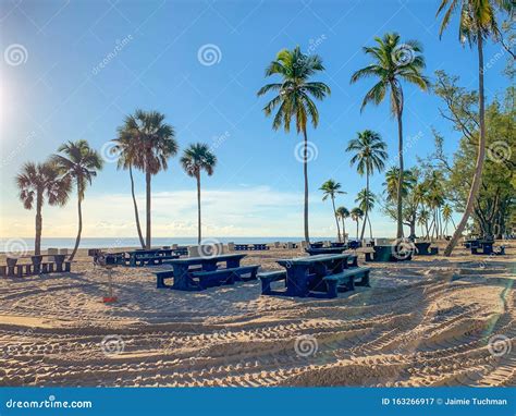 Fort Lauderdale Beach Park Picnic Tables And Palm Trees Stock Image