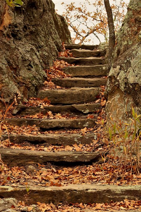 Stone Steps In Fall Free Stock Photo Public Domain Pictures