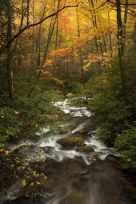 Autumn Creek Photograph By Donna Eaton Fine Art America