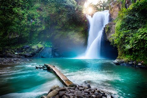 Waterfall Hidden In The Tropical Jungle Nature Wallpaper Cool