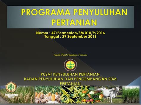 Penyusunan Program Penyuluhan Pertanian Agro Blog