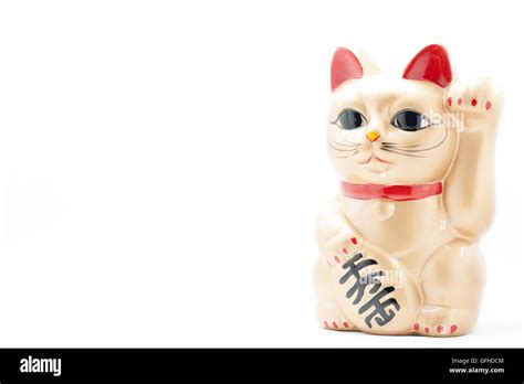 Japonés Llamado Manekineko Golden No Do Cat También Conocido Como Un