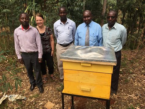 Beehives In Kenya Tgup Blog