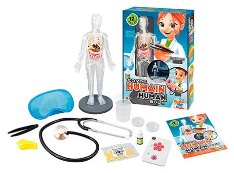 Ripley Juego Buki El Cuerpo Humano