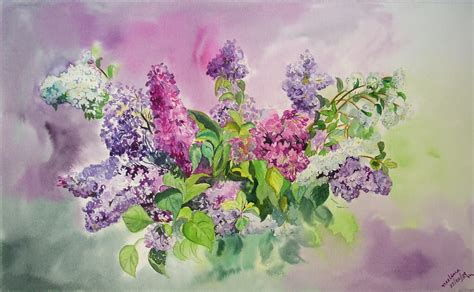Bouquet Of Lilacs Watercolors Of Nature Aquarellbilder