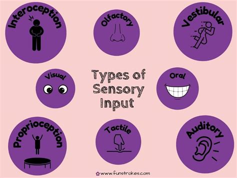 Sensory Processing Disorder Unveiled And Explained Fun Strokes