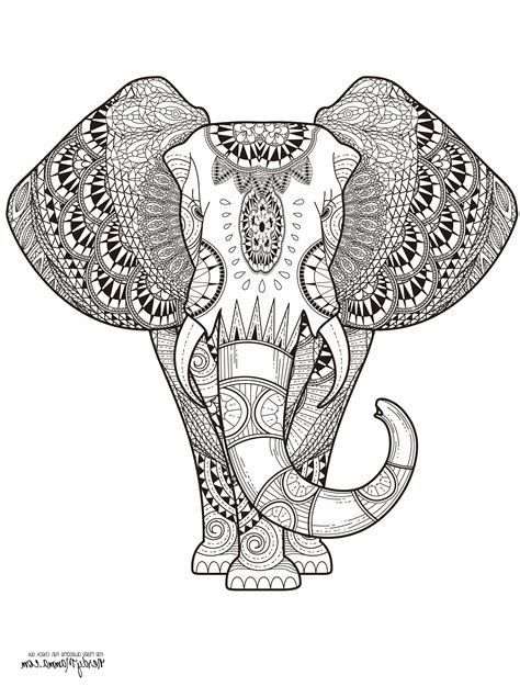 Elephant Coloring Pages For Adults Paisley Coloring Pages Elephant
