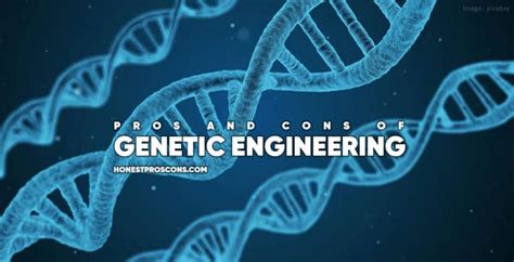 Pros And Cons Of Genetic Engineering