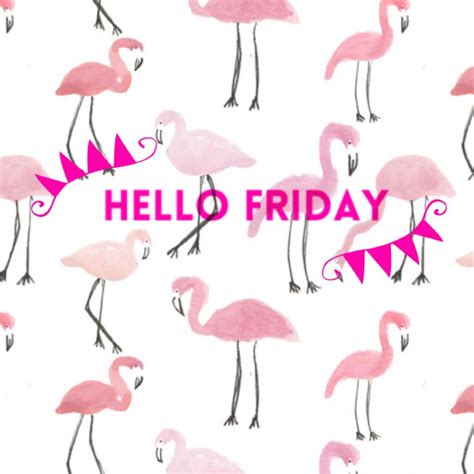 Friday Flamingos Hello Friday Flamingo Pink Flamingos