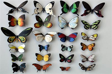 Butterfly Magnets Insect Magnets Refrigerator Magnets Set Of 24