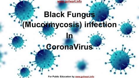 Black Fungus Mucormycosis In Coronavirus Youtube