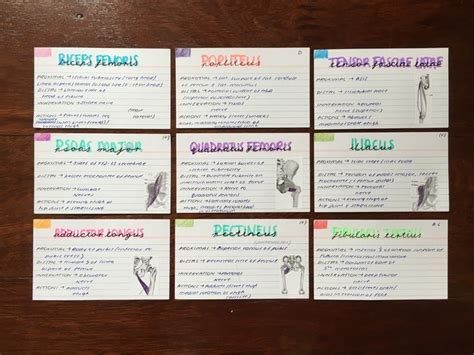 Studytheworldd Study Flashcards Study Cards School Study Tips