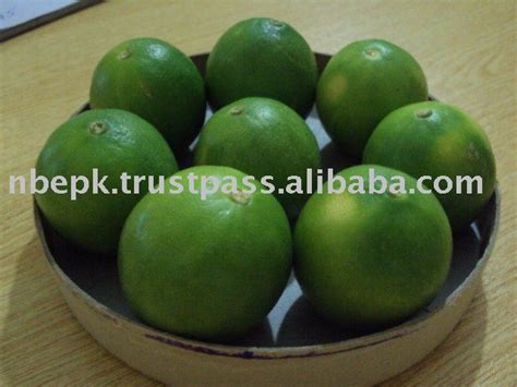 Mandarin Orange Citrus Fruit From Pakistanpakistan Nb Price Supplier