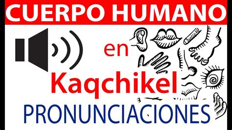 Como Se Escribe Partes Del Cuerpo Humano En Kaqchikel P Gina De Idiomas Mayas