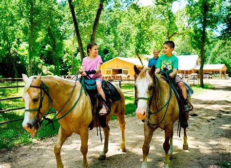 Horse Ride On Hire In Delhi For Event Birthday Party Jesvenues