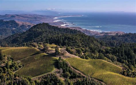 15 Best Sonoma Wineries With Beautiful Views Travel Leisure
