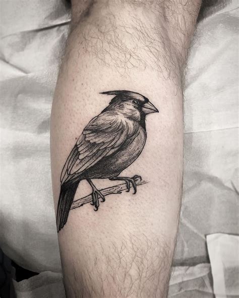 Blackwork cardinal bird tattoo | Tatuajes