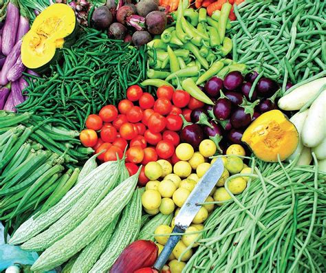 Odisha to promote organic farming in joint effort with United Nations ...