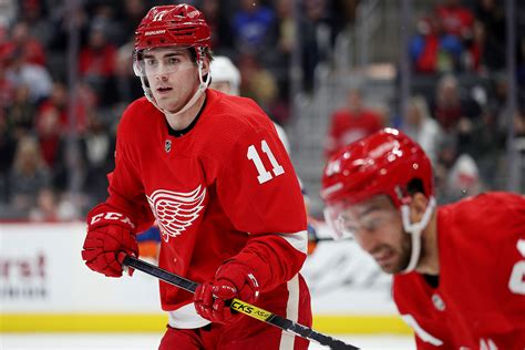 A current focus is on the development of novel, safer analgesics based on modifications (analogs) of naturally occurring opioids discovered in our laboratory (endomorphins). Filip Zadina main reason to watch Red Wings during bleak ...