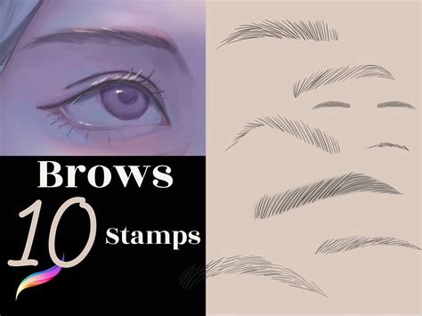 10 Procreate Eye Brows stamps Procreate stamps procreate ...