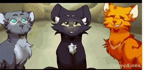Animated Warrior Cat Gifs