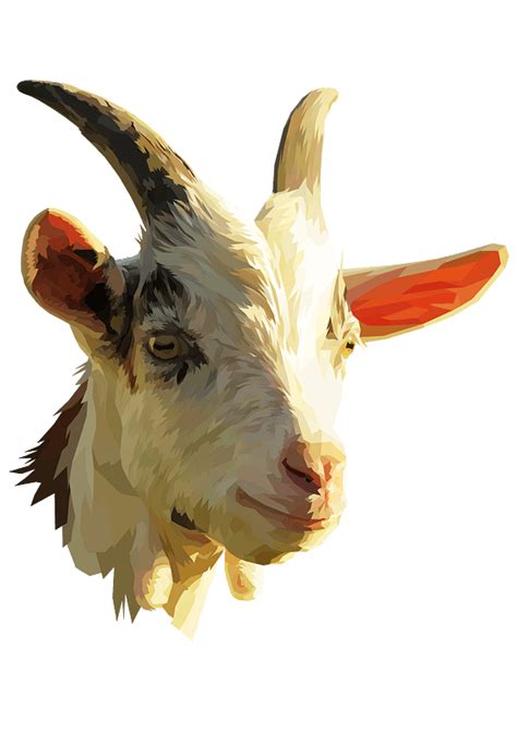 Goat Head Clipart Free Download Transparent Png Creazilla