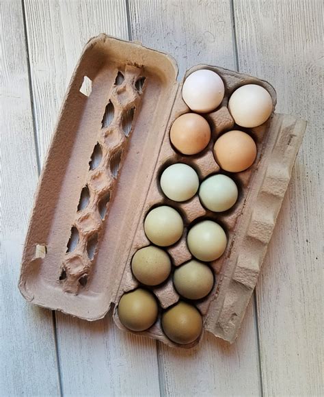 Handy Chicken Egg Size Chart Fresh Eggs Daily With Lisa Steele