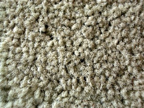 Carpet Texture Free Photo Download Freeimages