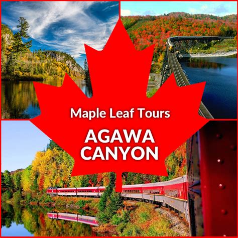 Agawa Canyon 2019 Maple Leaf Tours Reservations