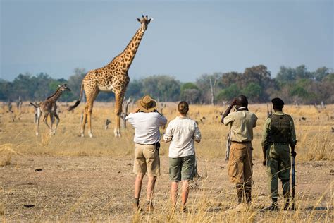 Zambia Travel Guide Africa Safari Destinations