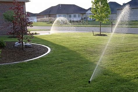 How often you water will depend both on the size of the container and what you are growing. Protect Your Lawn From Heat and Drought | Lawn Doctor of Boston