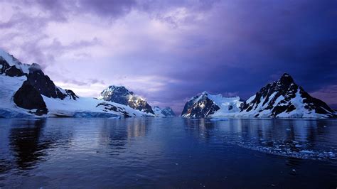 Antarctica Wallpapers Top Free Antarctica Backgrounds Wallpaperaccess