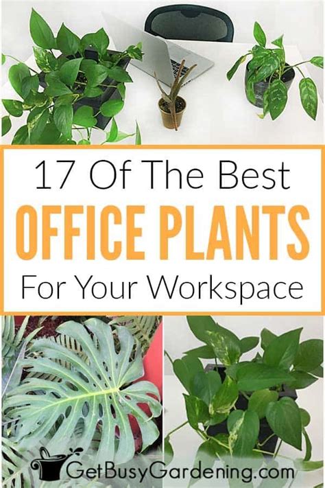 Its Time To Add Some Green To Your Boring Corporate Office Space This
