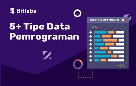 Macam Macam Tipe Data Pemrograman Programmer Wajib Tahu My Xxx Hot Girl