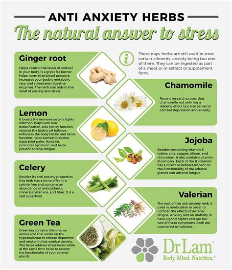 The Ultimate Way To Reduce Anxiety Is With Natural Anti Anxiety Herbs