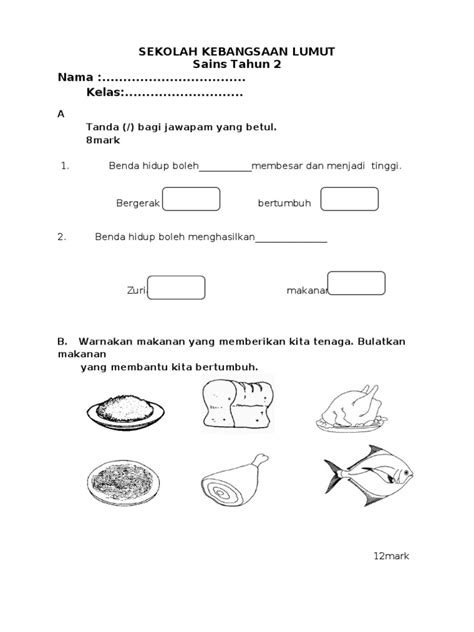 Pksr 1 dunia sains & teknologi tahun 1. Kumpulan soalan Latihan Sains Tahun 1 Yang Bernilai Khas ...