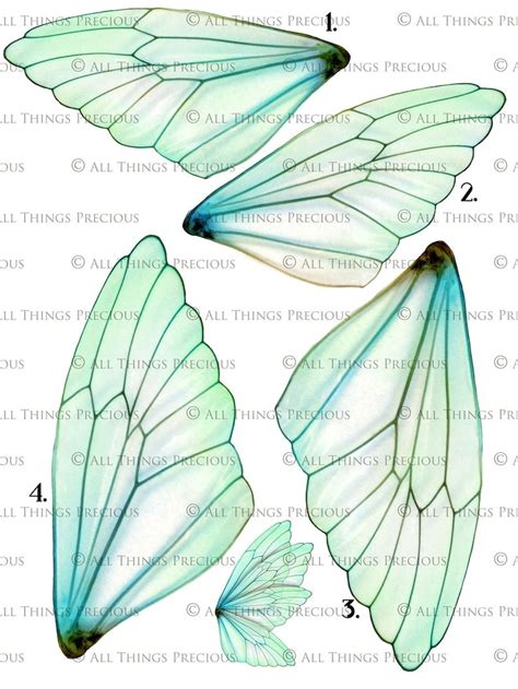 Printable Fairy Wings Set 4 Scrapbooking Clipart Digital Etsy Fairy